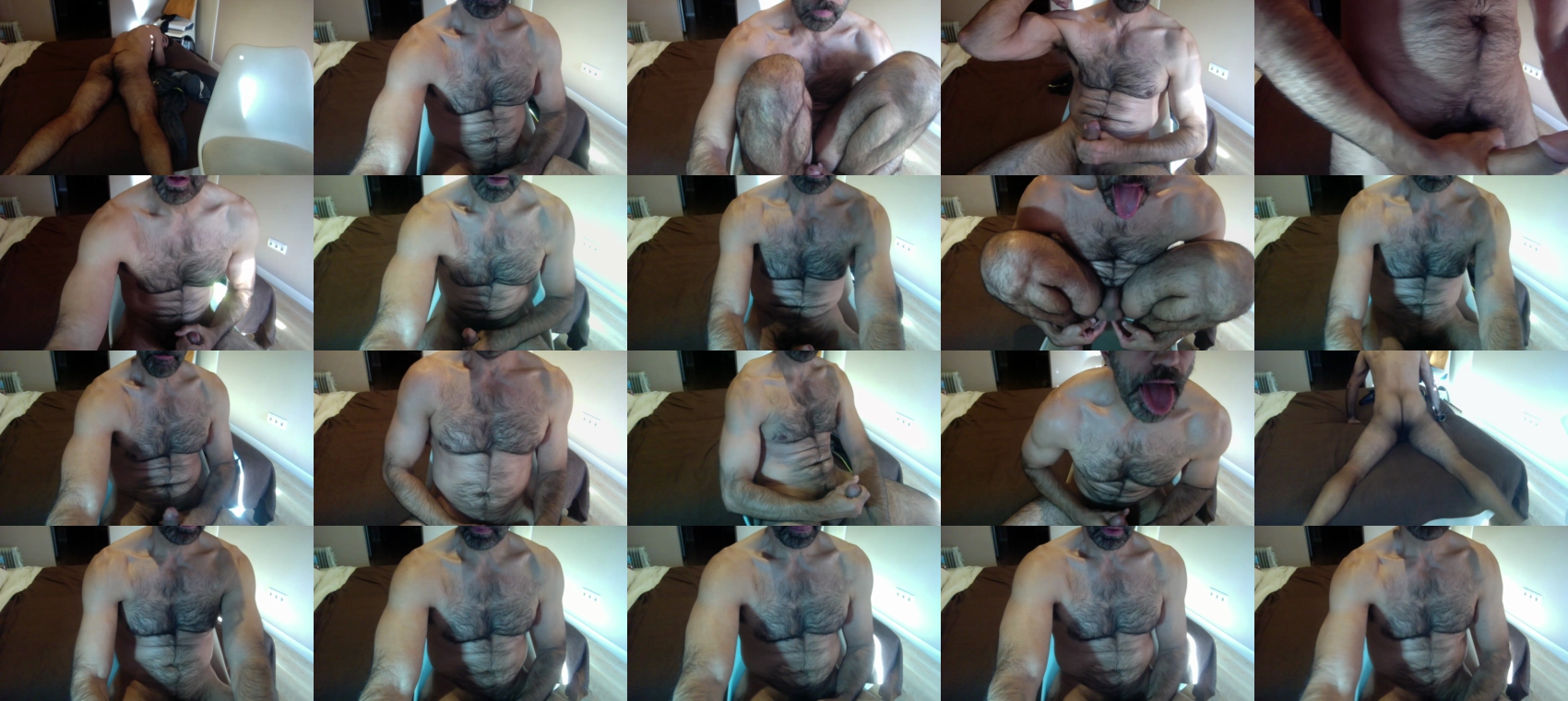 jacato  19-11-2022